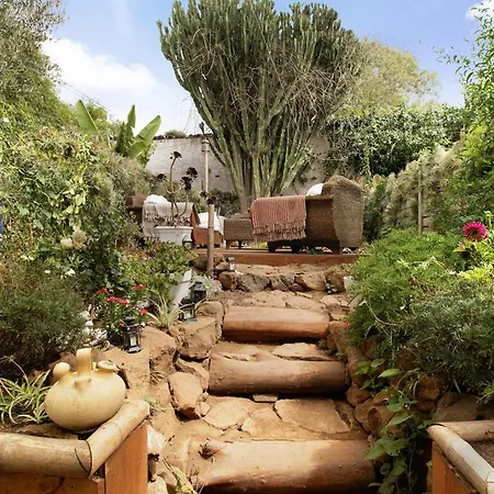Jardin Del Sol Tacoronte